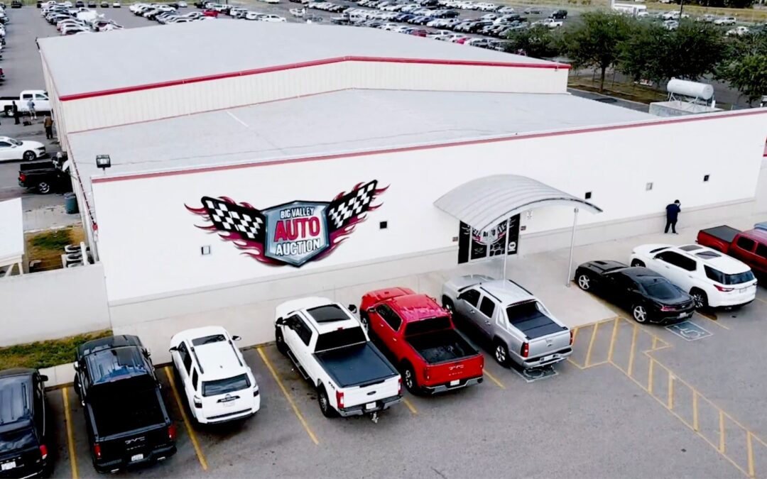 What Should I Consider When Choosing an Auto Auction?