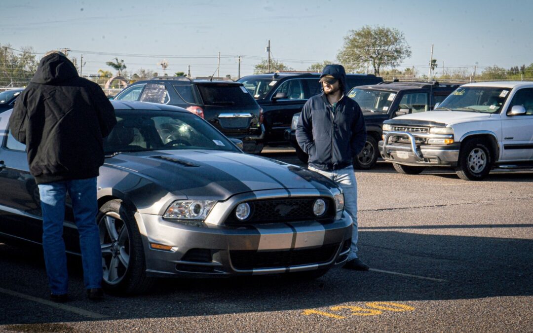 Big Valley Auto Auction Weekly Inventory vs Buy Now Inventory