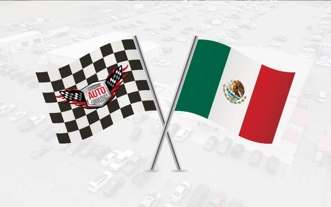 ¿Cómo Pueden los Concesionarios en México Comprar en Big Valley Auto Auction?