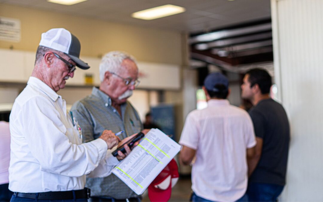 Big Valley Auto Auction Pre-Sale List Benefits