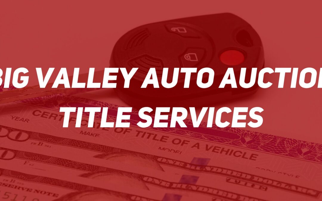 Big Valley Auto Auction Title Services